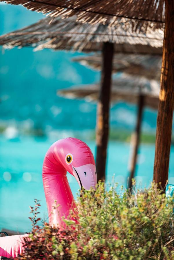 Aquata Apartments Tivat Exteriér fotografie